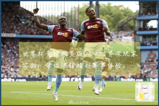 世界杯竞猜网页版入口：资深玩家实测，带你玩转精彩赛事体验