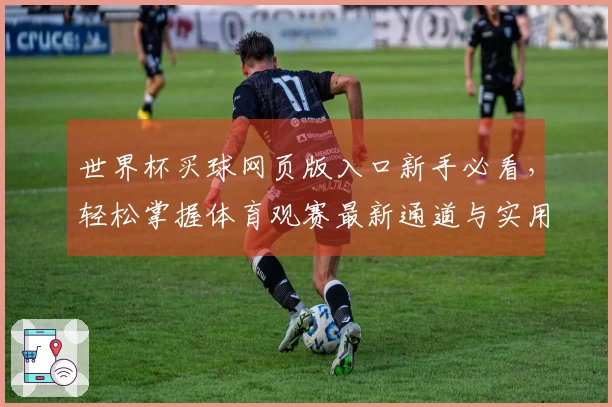 世界杯买球网页版入口新手必看，轻松掌握体育观赛最新通道与实用技巧