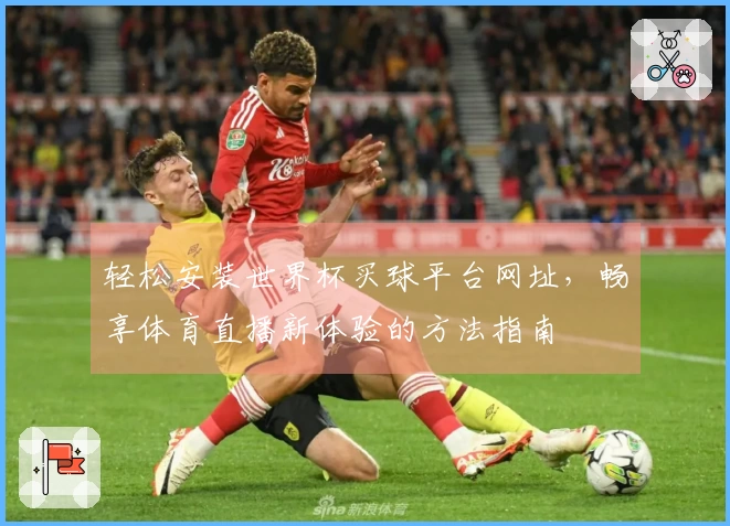 轻松安装世界杯买球平台网址，畅享体育直播新体验的方法指南