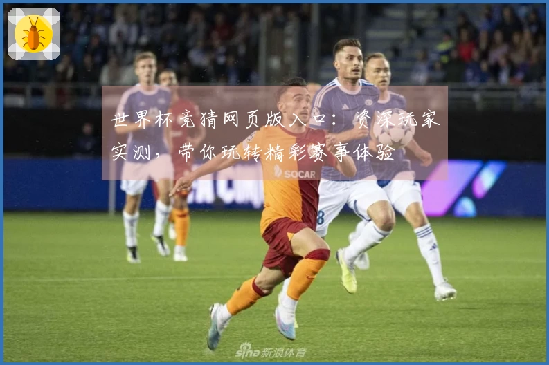 世界杯竞猜网页版入口：资深玩家实测，带你玩转精彩赛事体验