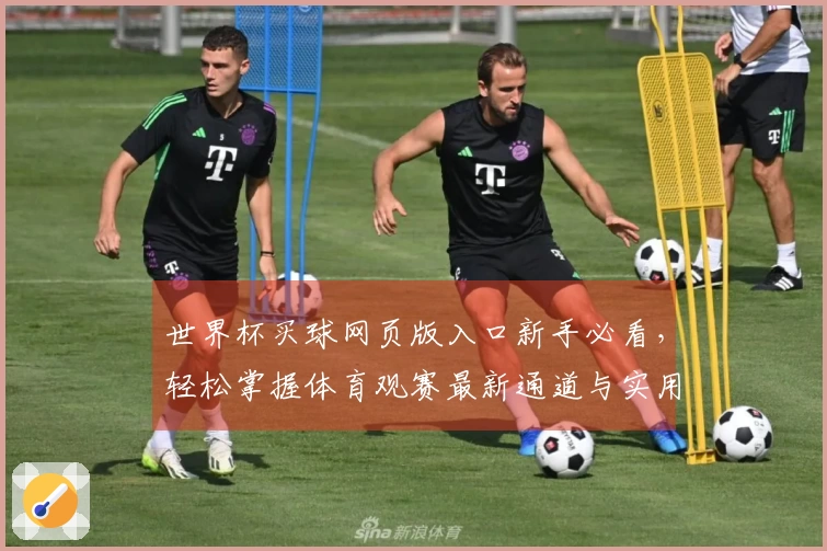世界杯买球网页版入口新手必看，轻松掌握体育观赛最新通道与实用技巧