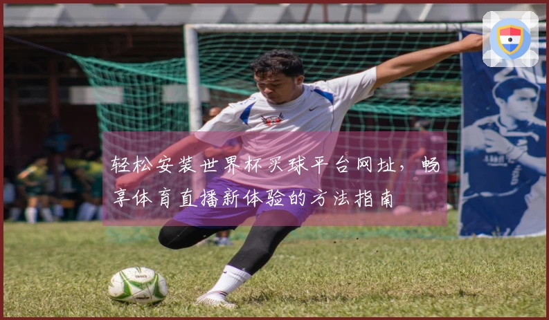 轻松安装世界杯买球平台网址，畅享体育直播新体验的方法指南
