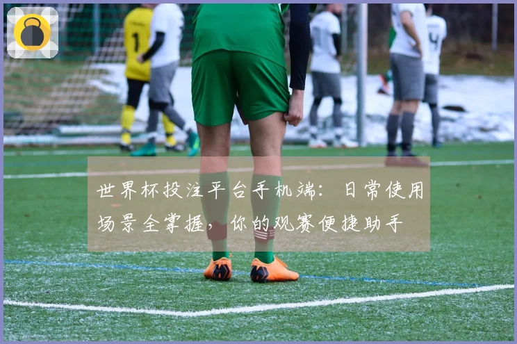 世界杯投注平台手机端：日常使用场景全掌握，你的观赛便捷助手