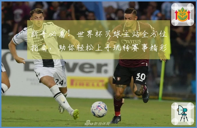 新手必看！世界杯买球主站全方位指南，助你轻松上手玩转赛事精彩