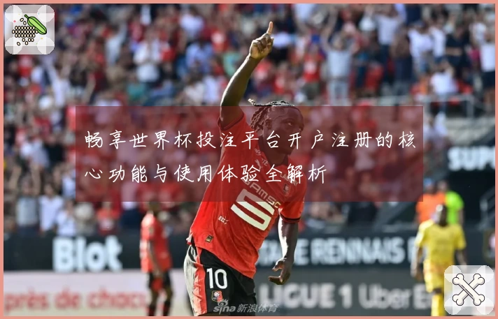 畅享世界杯投注平台开户注册的核心功能与使用体验全解析